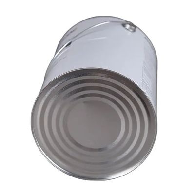 19L 5 Gallonen Stahl Knappkopf Eimer mit flexiblem Auslassdeckel für Ausdünner